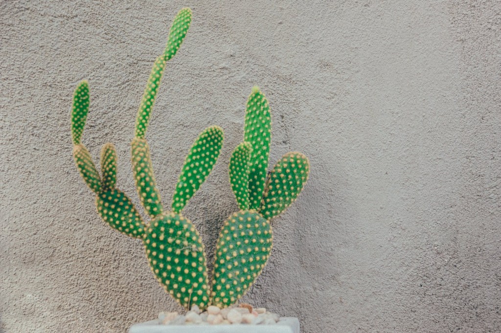 Unpopular Opinion: 2020 Wasn’t the Worst