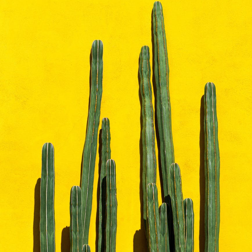 Stick to 4 Things: Don’t Try To Do It All